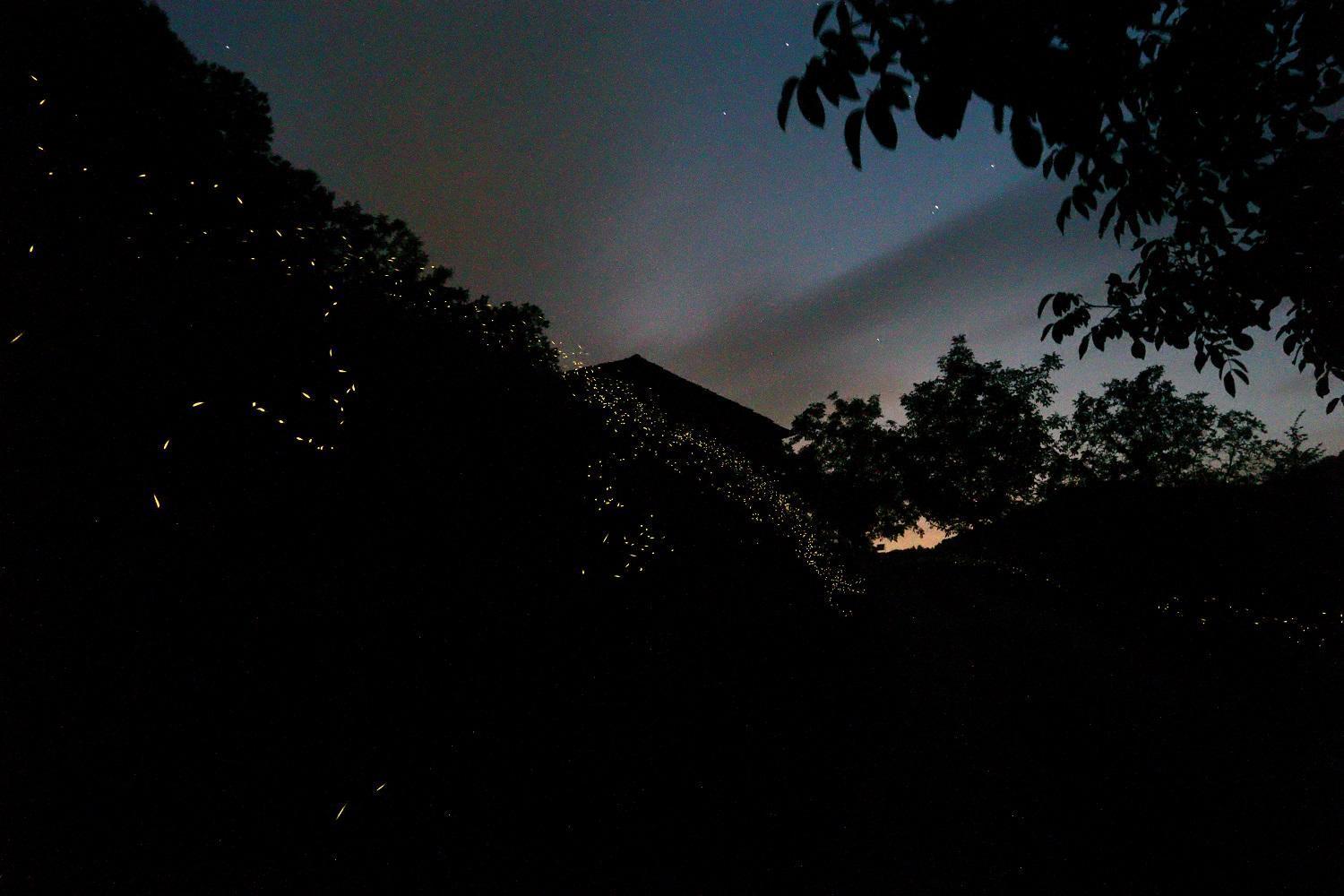 Mimmo'S Holiday House San Godenzo Dış mekan fotoğraf