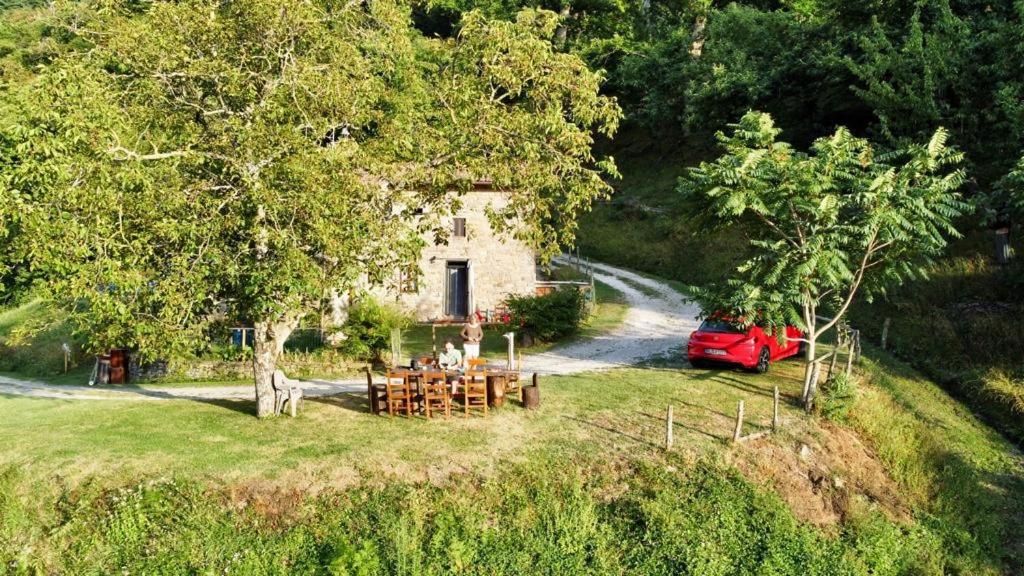 Mimmo'S Holiday House San Godenzo Dış mekan fotoğraf